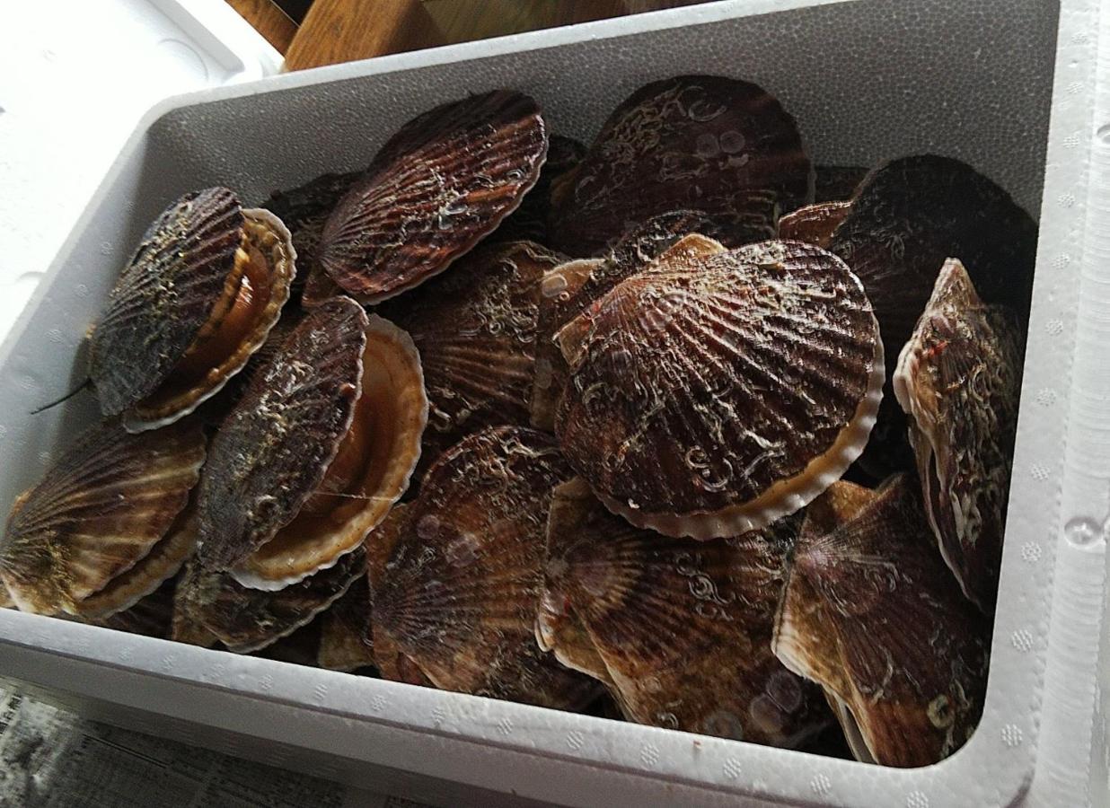 Oshamambe Minshuku Kaikazari Kunnui酒店 外观 照片